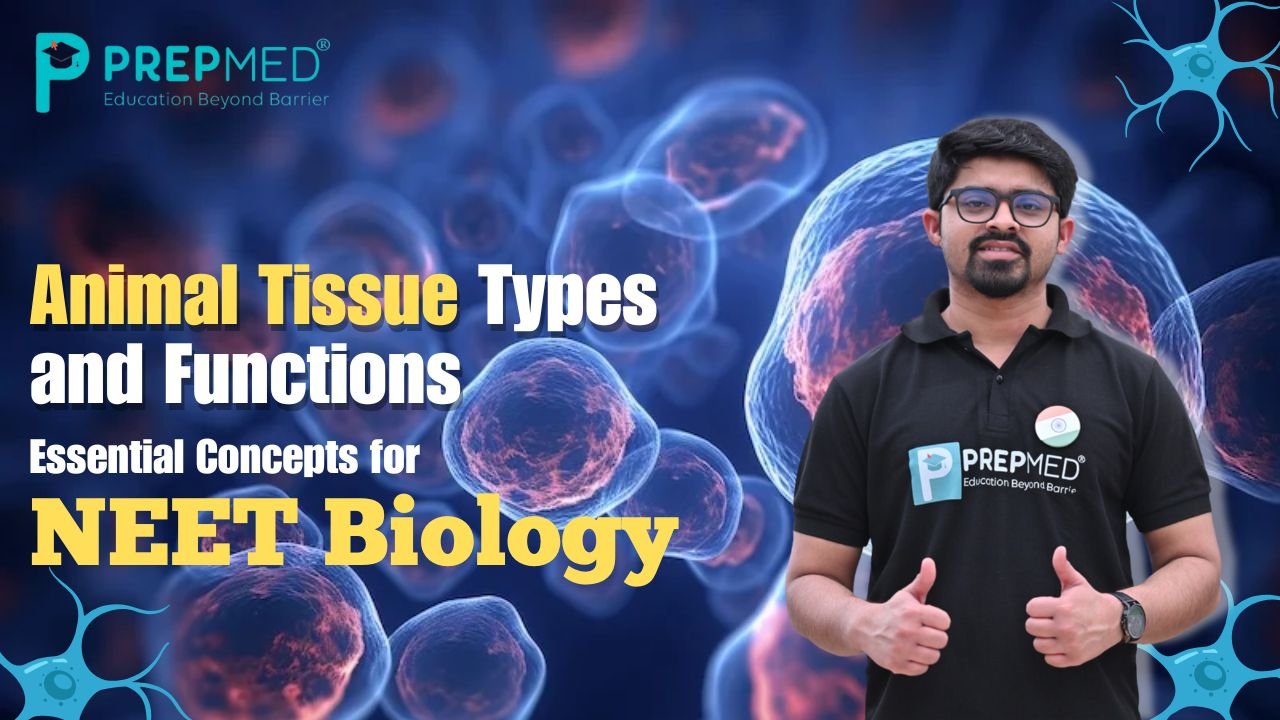 PrepMed NEET Biology session on animal tissues