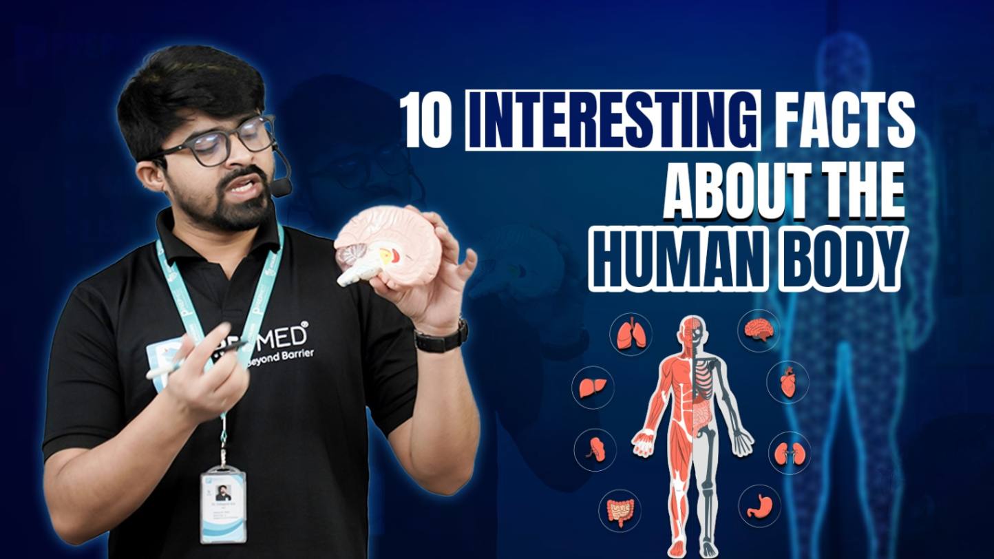 Facts about the Human Body