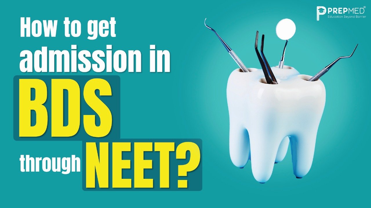 How to get admission in BDS through NEET​?